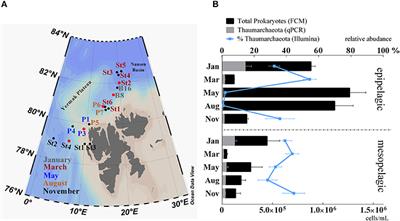 Spatiotemporal Dynamics of Ammonia-Oxidizing Thaumarchaeota in Distinct Arctic Water Masses